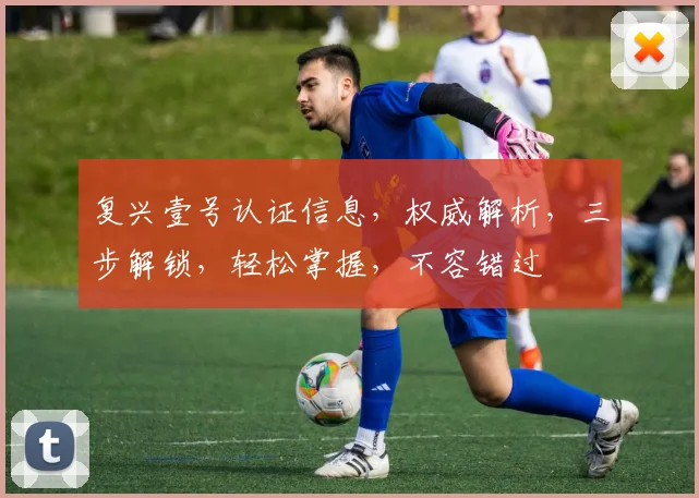 复兴壹号认证信息，权威解析，三步解锁，轻松掌握，不容错过