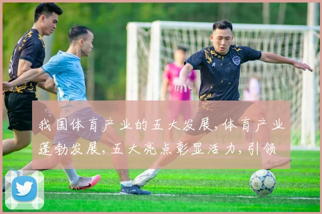 我国体育产业的五大发展,体育产业蓬勃发展,五大亮点彰显活力,引领市场潮流